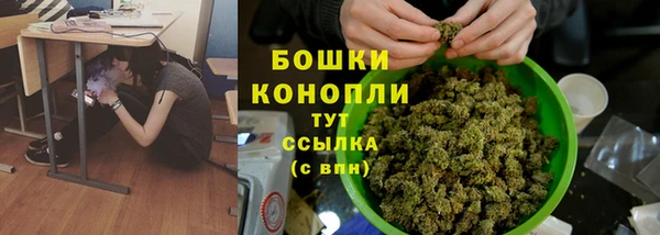 спиды Костерёво