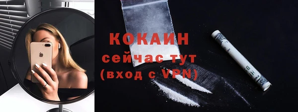 дживик Корсаков