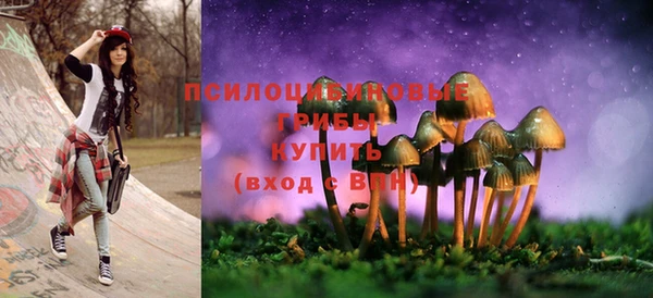 бошки Краснотурьинск