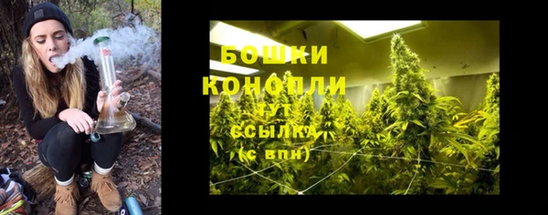 соль ск Коряжма
