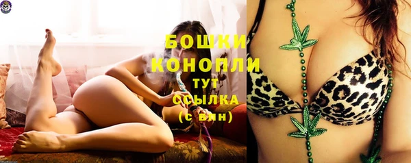 соль ск Коряжма