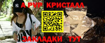прущие крисы Камышлов