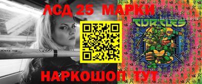 индика Аргун