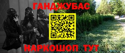 прущие крисы Камышлов