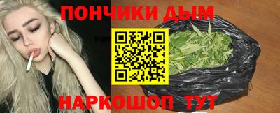 прущие крисы Камышлов