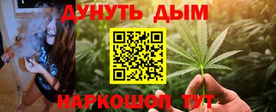 индика Аргун