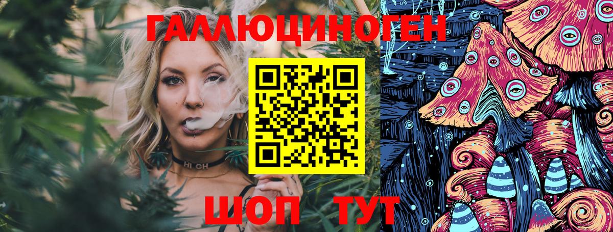 где купить наркоту  Чайковский  Галлюциногенные грибы Psilocybine cubensis 