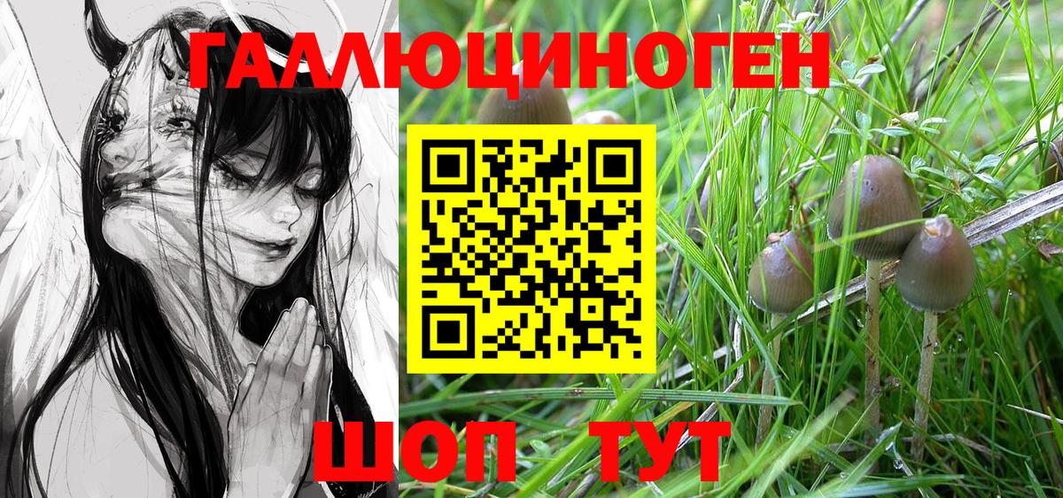 Галлюциногенные грибы Cubensis Чайковский
