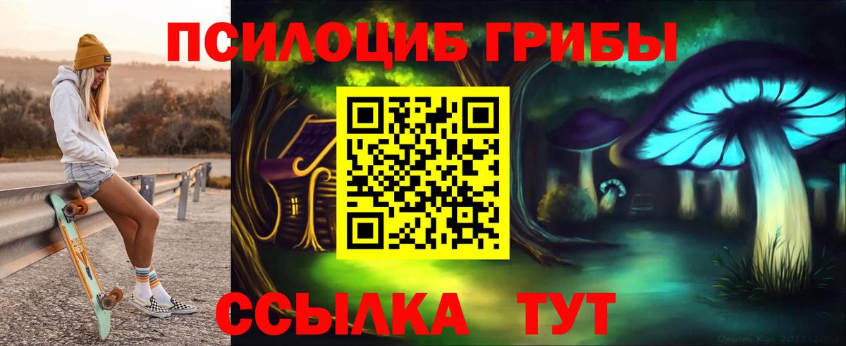 Чайковский  Псилоцибиновые грибы прущие грибы  Псилоцибиновые грибы мухоморы  Вход с VPN 